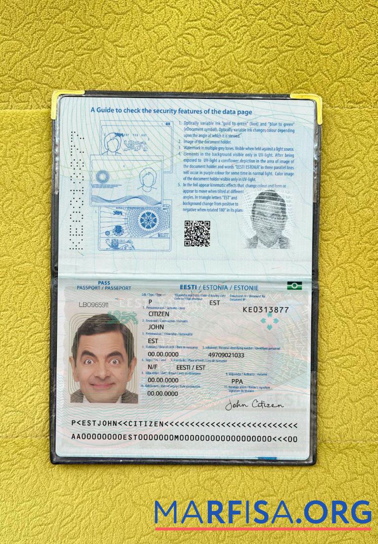 Printable Estonia passport 2022 present photolook download for verification